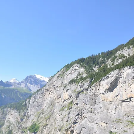 Hotel Edelweiss Superior