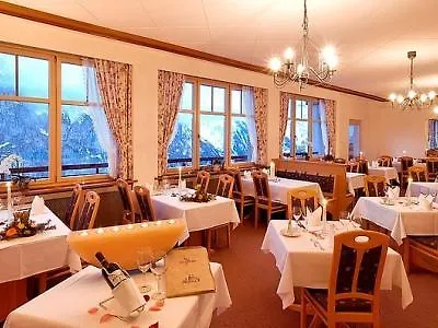 Edelweiss Superior Hotel Murren