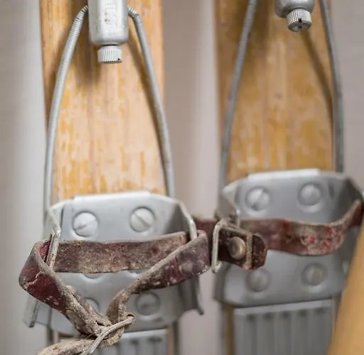 Hotel Edelweiss Superior Mürren