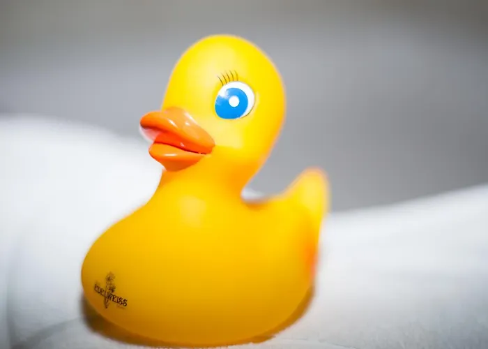 Edelweiss Superior Hotel Mürren