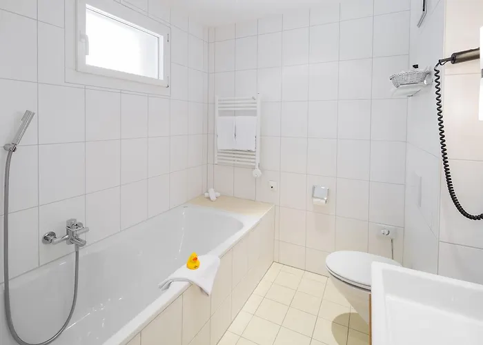 Hotel Edelweiss Superior 3*