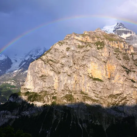 호텔 에델바이스 수페리어 3*