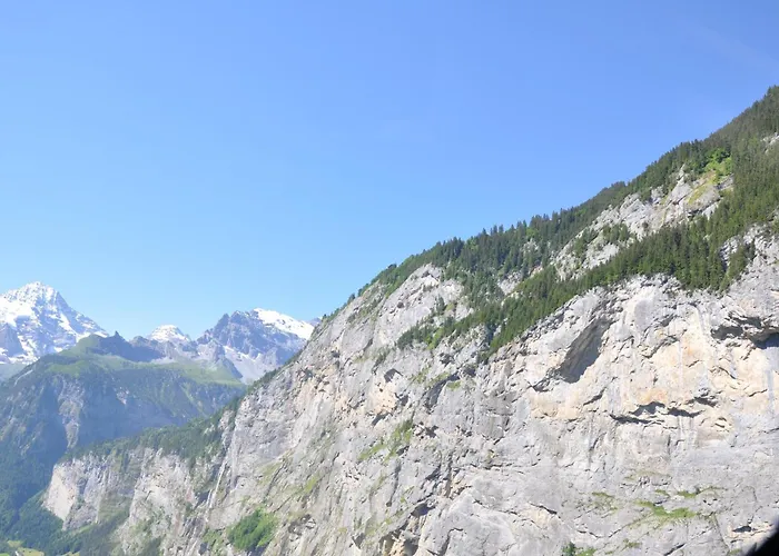 호텔 에델바이스 수페리어