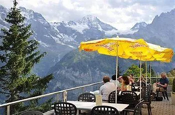 Edelweiss Superior 3*