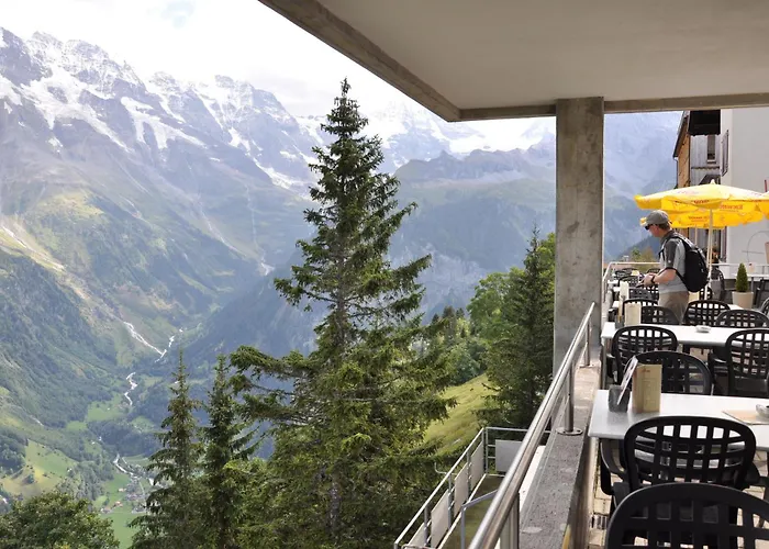 Edelweiss Superior Mürren